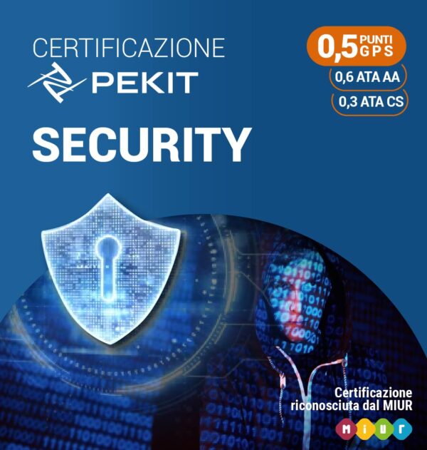 Pekit Security
