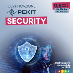 Pekit Security